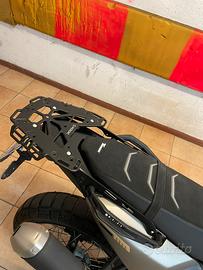 Partapacchi Tenerè 700 2025