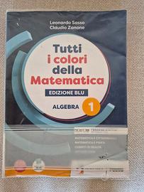 TUTTI I COLORI DELLA MATEMATICA - EDIZIONE BLU