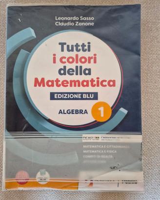 TUTTI I COLORI DELLA MATEMATICA - EDIZIONE BLU