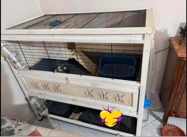 Gabbia in legno 2 piani