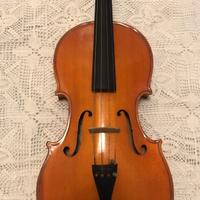 VIOLA misura 40,5