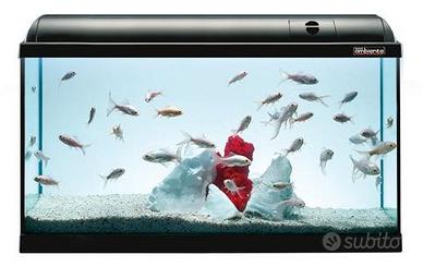 Acquario Askoll Ambiente 60l