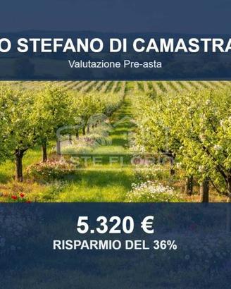 Immobile in asta di 10420 m² a Santo Stefano di Ca