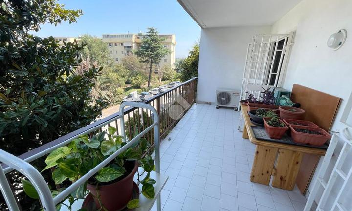 5 LOCALI A POLLENA TROCCHIA