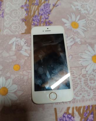 telefono iphone 5S