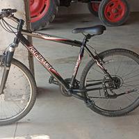  Mountain bike+ accessori vedi annuncio