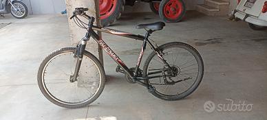  Mountain bike+ accessori vedi annuncio