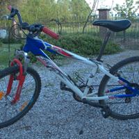 mountain bike