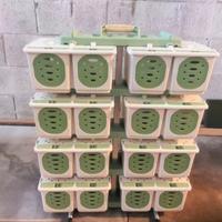 Trasportino volatili