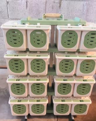 Trasportino volatili