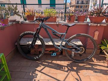 bici RockRaider am 100s 