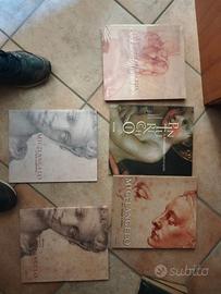 libri su Michelangelo e Pinturicchio