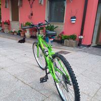 Mtb ragazzo- 8-10 anni 