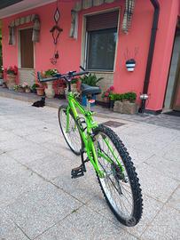 Mtb ragazzo- 8-10 anni 