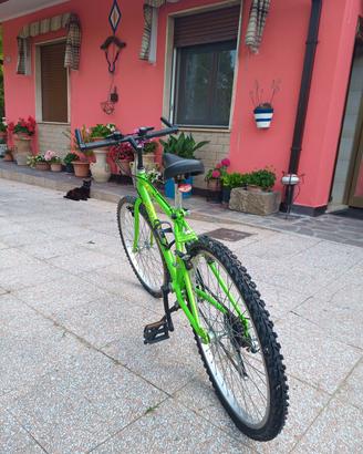 Mtb ragazzo- 8-10 anni 