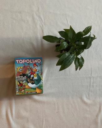 Lotto fumetti Disney Topolino - Numeri vari