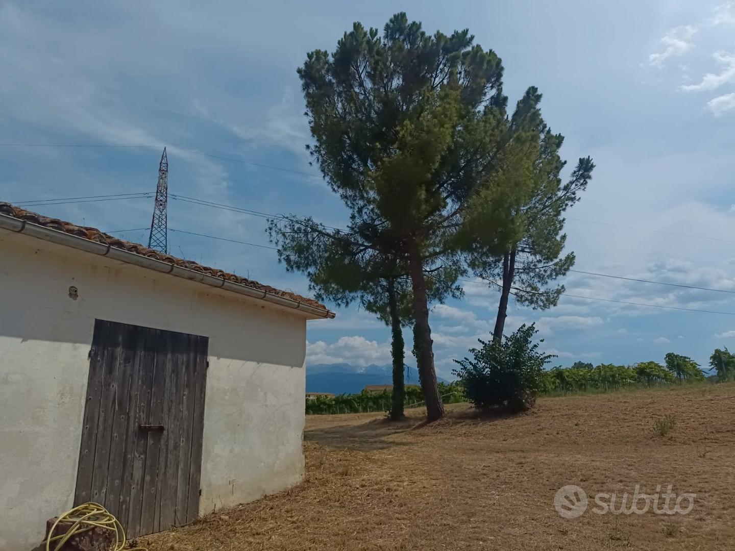 Casale - fattoria - con uliveti - Vista 5