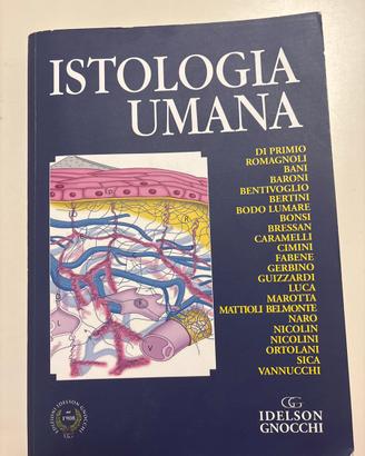 Istologia Umana, Idelson-Gnocchi