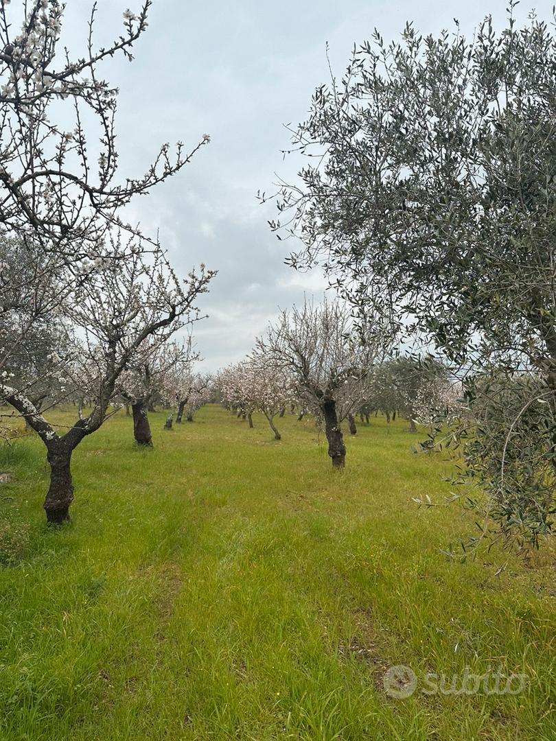 Terreno rustico - Vista 3
