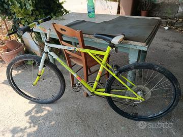 bicicletta