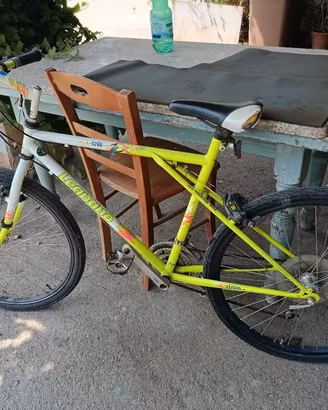 bicicletta