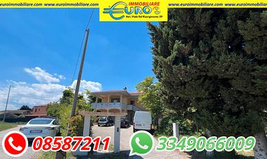 Casa singola con due appartamenti e uliveto