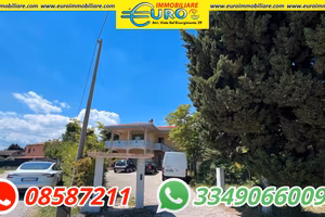 Casa singola con due appartamenti e uliveto