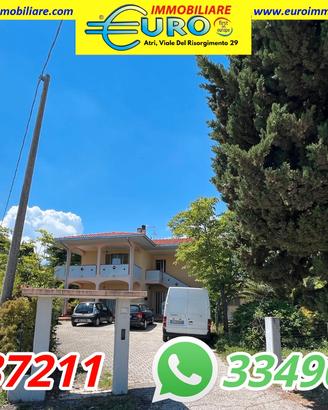 Casa singola con due appartamenti e uliveto