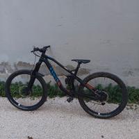 MTB Canyon Strive 