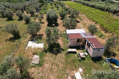 Terreno Agricolo a Gallicano nel Lazio