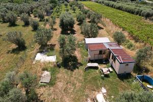 Terreno Agricolo a Gallicano nel Lazio