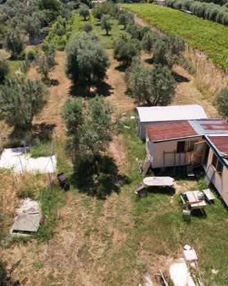 Terreno Agricolo a Gallicano nel Lazio