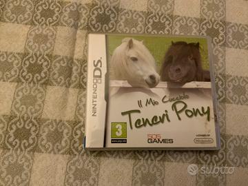 Il mio cucciolo Teneri Pony