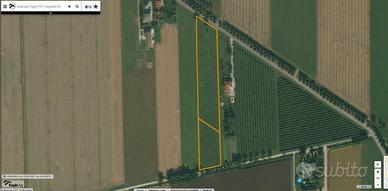 Terreno agricolo-seminativo-vigneto