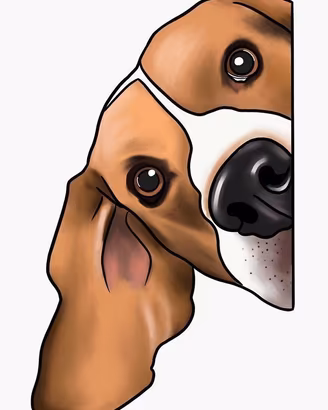 Cuccioli maschi beagle