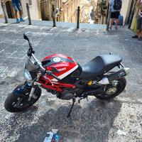 Ducati Monster 796 - 2013