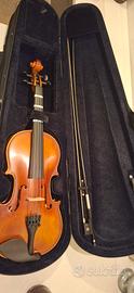 violino