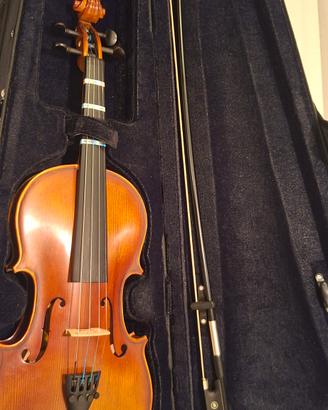 violino
