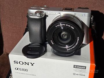 Sony A6100 + 16-50mm OSS