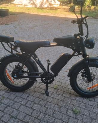 Fat ebike doppio posto