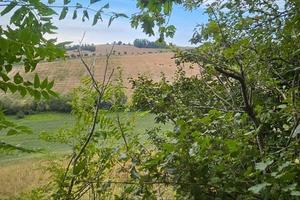rustico Macina (Mogliano MC)