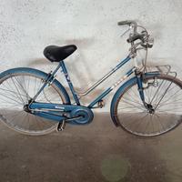 bicicletta wolsit 