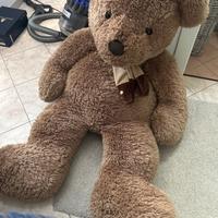 Orso gigante peluche