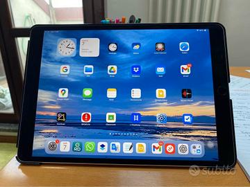 iPad Pro 11” 256 Gb + Apple Pencil + custodie