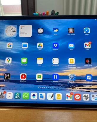 iPad Pro 11” 256 Gb + Apple Pencil + custodie