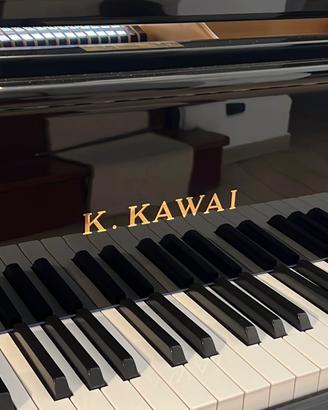 Pianoforte a coda