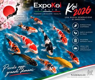 Carpe Koi 2026 da riproduttori giapponesi ExpoKoi
