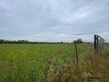 TERRENO Agricolo 3.000,00Mt - Rif T5