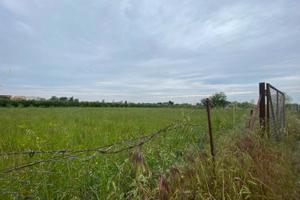 TERRENO Agricolo 3.000,00Mt - Rif T5