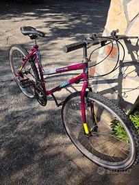 Due Mountain bike seminuove 